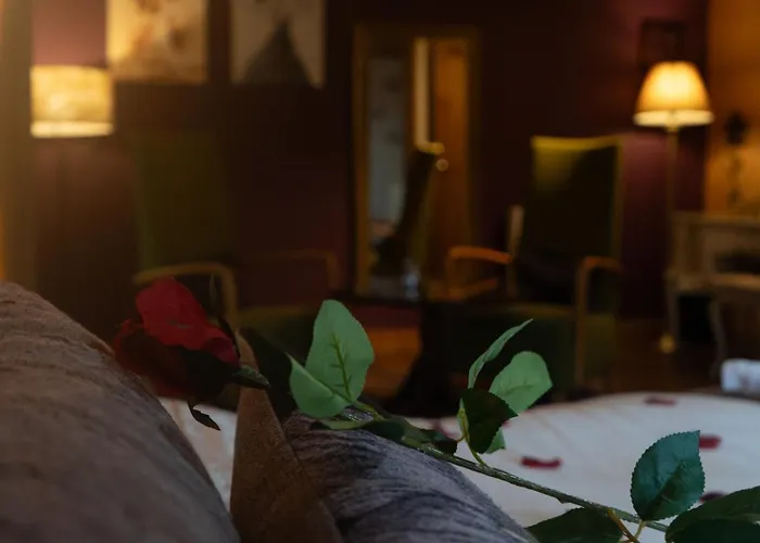 Chinchilla - Still Rabbit - Hot Tub - Yorkshire * Selby