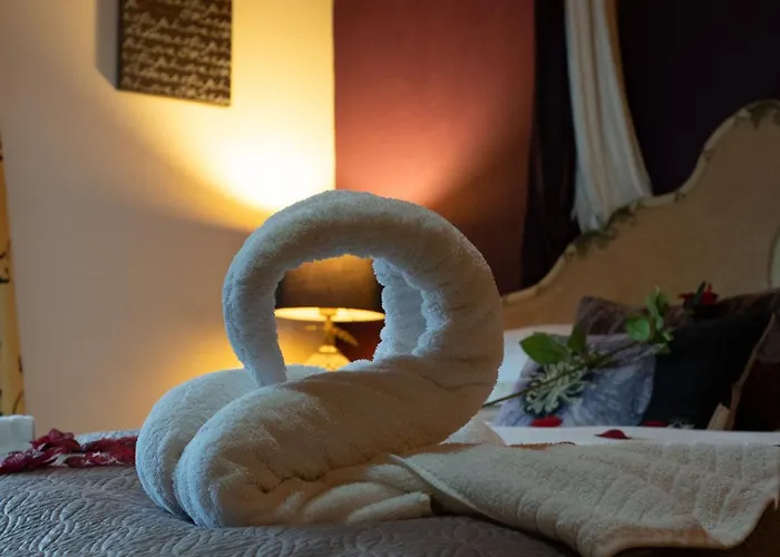 Chinchilla - Still Rabbit - Hot Tub - Yorkshire Willa