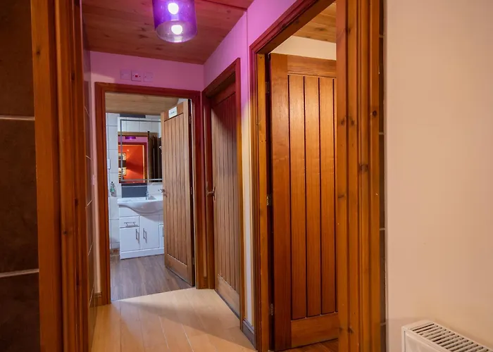 Chinchilla - Still Rabbit - Hot Tub - Yorkshire