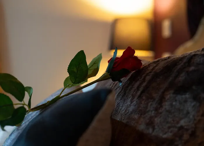 Chinchilla - Still Rabbit - Hot Tub - Yorkshire Villa