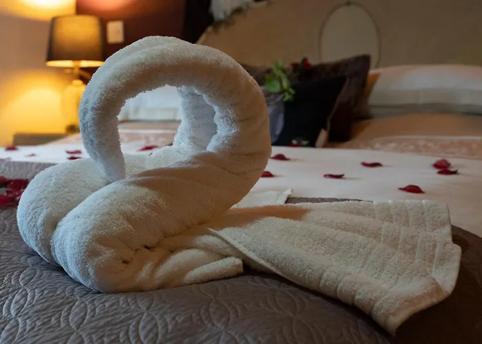 Chinchilla - Still Rabbit - Hot Tub - Yorkshire * Selby