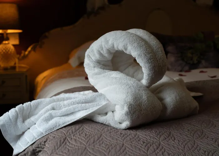 Chinchilla - Still Rabbit - Hot Tub - Yorkshire