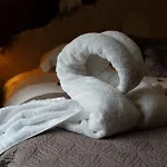 Chinchilla - Still Rabbit - Hot Tub - Yorkshire